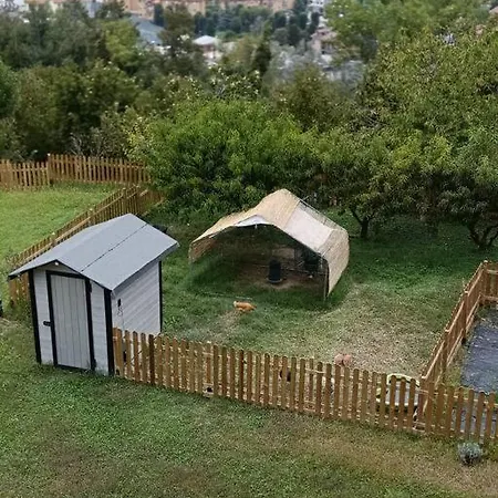 La Casa Del Merlo Holiday home