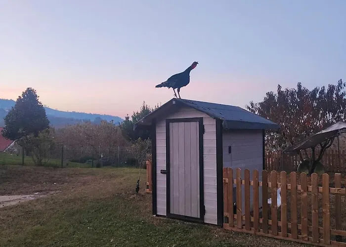 La Casa Del Merlo *